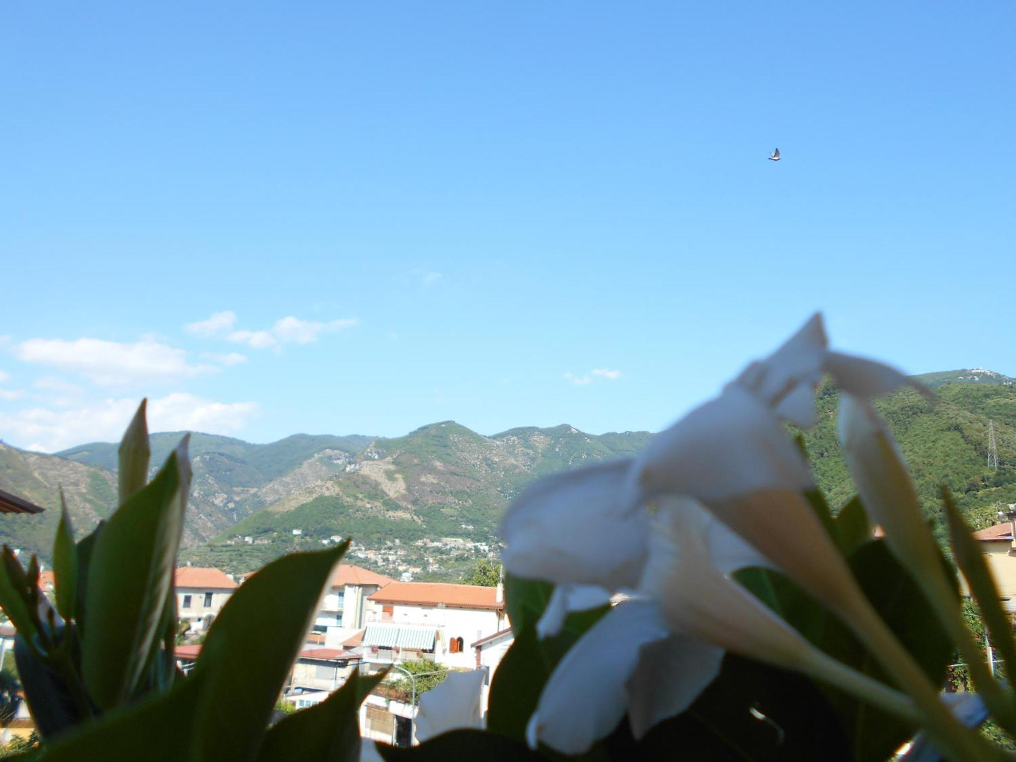 Appartamento Mare E Monti 피몬테 외부 사진